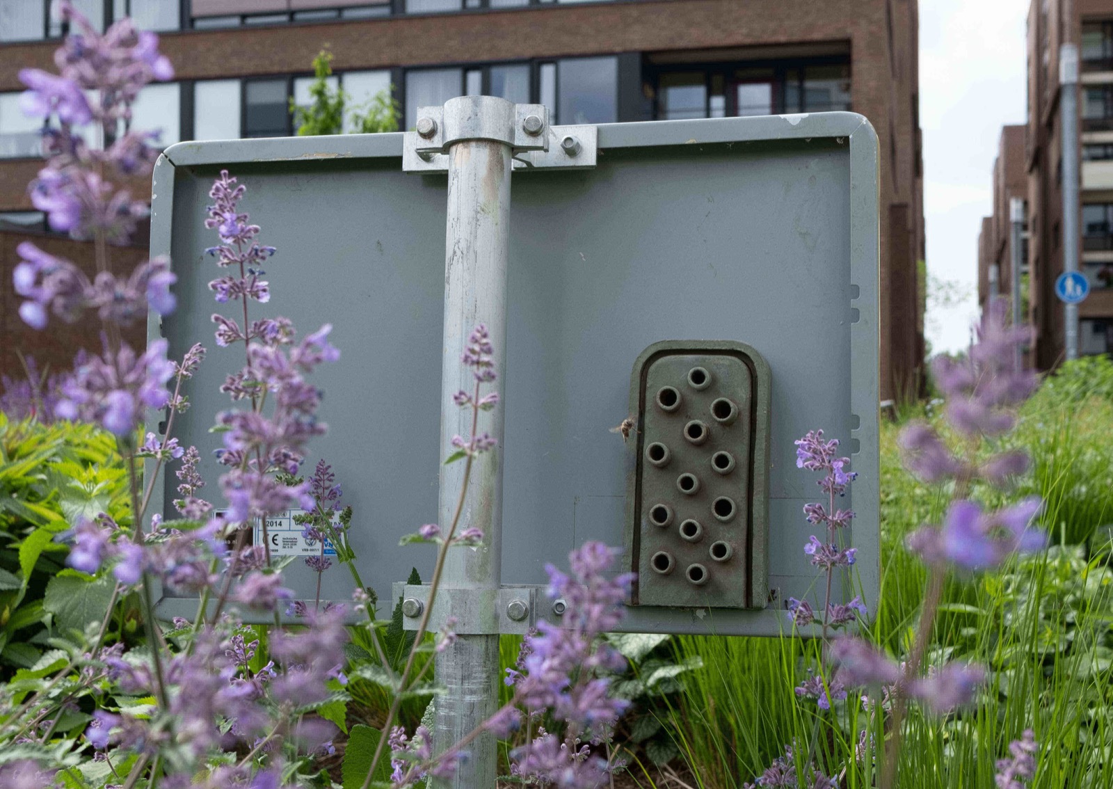 BeeShelter